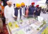ਪੰਜਾਬ `ਚ ਬਿਜਲੀ ਦੇ ਖੰਭਿਆਂ ਤੋਂ ਮੁਕਤ ਹੋਣਗੇ ਪਿੰਡ : ਮਾਨ Project