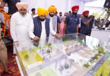 ਪੰਜਾਬ `ਚ ਬਿਜਲੀ ਦੇ ਖੰਭਿਆਂ ਤੋਂ ਮੁਕਤ ਹੋਣਗੇ ਪਿੰਡ : ਮਾਨ Project