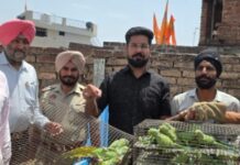 ਜੰਗਲੀ ਜੀਵ ਵਿਭਾਗ ਦੀ ਦਿੱਲੀ ਟੀਮ ਨੇ ਤੋਤੇ ਬਰਾਮਦ ਕਰਕੇ ਕੀਤਾ ਕੇੇਸ ਦਰਜ Raid