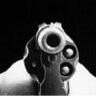 Shoot
