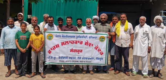 Agriculture Camp Agriculture Camp