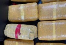 ਬੀ. ਐੱਸ. ਐੱਫ. ਨੇ ਜ਼ਬਤ ਕੀਤੀ 85 ਕਰੋੜ ਦੀ ਹੈਰੋਇਨ Drugs