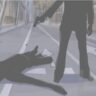 Murder