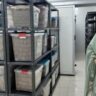 gene bank