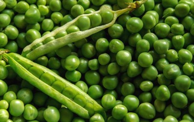 peas peas