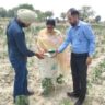 Agricultural