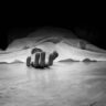Haryana Death