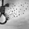 Haryana Suicide