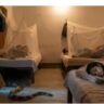 hostel Snake