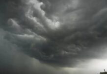 ਪੰਜਾਬ, ਹਰਿਆਣਾ ਤੇ ਹਿਮਾਚਲ `ਚ ਮਾਨਸੂਨ ਦੀ ਦਸਤਕ Monsoon