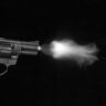 Shoot