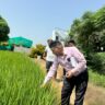 Agriculture camp