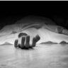 Baddi Murder