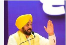 ਗੈਂਗਸਟਰਾਂ ’ਤੇ ਵਾਰ ਦੇ 205ਵੇਂ ਦਿਨ ਹੋਈ 630 ਥਾਈਂ ਛਾਪੇਮਾਰੀ Bhagwant Mann