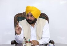 ਪੰਜਾਬ ਸਰਕਾਰ ਨੇ ਗਊਸ਼ਾਲਾਵਾਂ ਦੇ ਬਿਜਲੀ ਬਿਲ ਮੁਆਫ ਕਰਨ ਨੂੰ ਦਿੱਤੀ ਮਨਜ਼ੂਰੀ Chief Minister