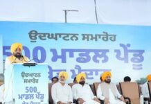 ਮੁੱਖ ਮੰਤਰੀ ਨੇ ਕੀਤਾ ਨੌਜਵਾਨਾਂ ਲਈ ਆਧੁਨਿਕ `ਪੇਂਡੂ ਖੇਡ ਮੈਦਾਨਾਂ ਦਾ ਉਦਘਾਟਨ Chief Minister