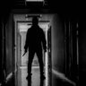 Director Murder