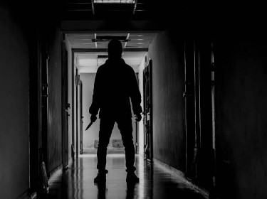 Director Murder Director Murder