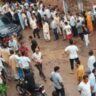 Haryana Firring