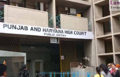 High Court High Court