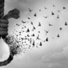 suicide