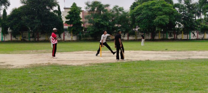 Cricket Tournament Cricket