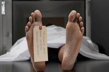 Dead Body Dead Body