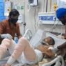 dogs injured
