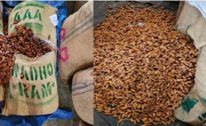 Dried Seized Dried Seized