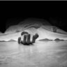 Suicide
