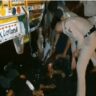 Jalandhar Accident