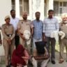 Faridkot Arrest