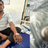 Snake Bite