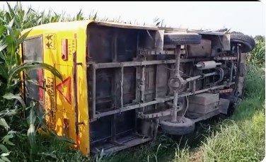 School Bus School Bus