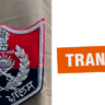 Transfers